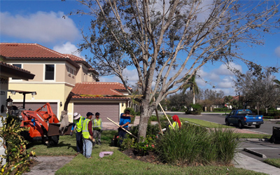 hurricane-cleanup