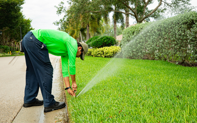 irrigation