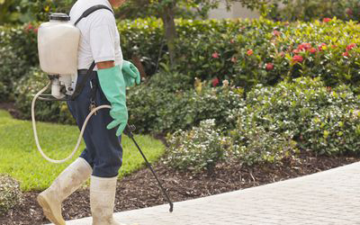 pestcontrol