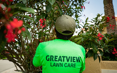 tree-service